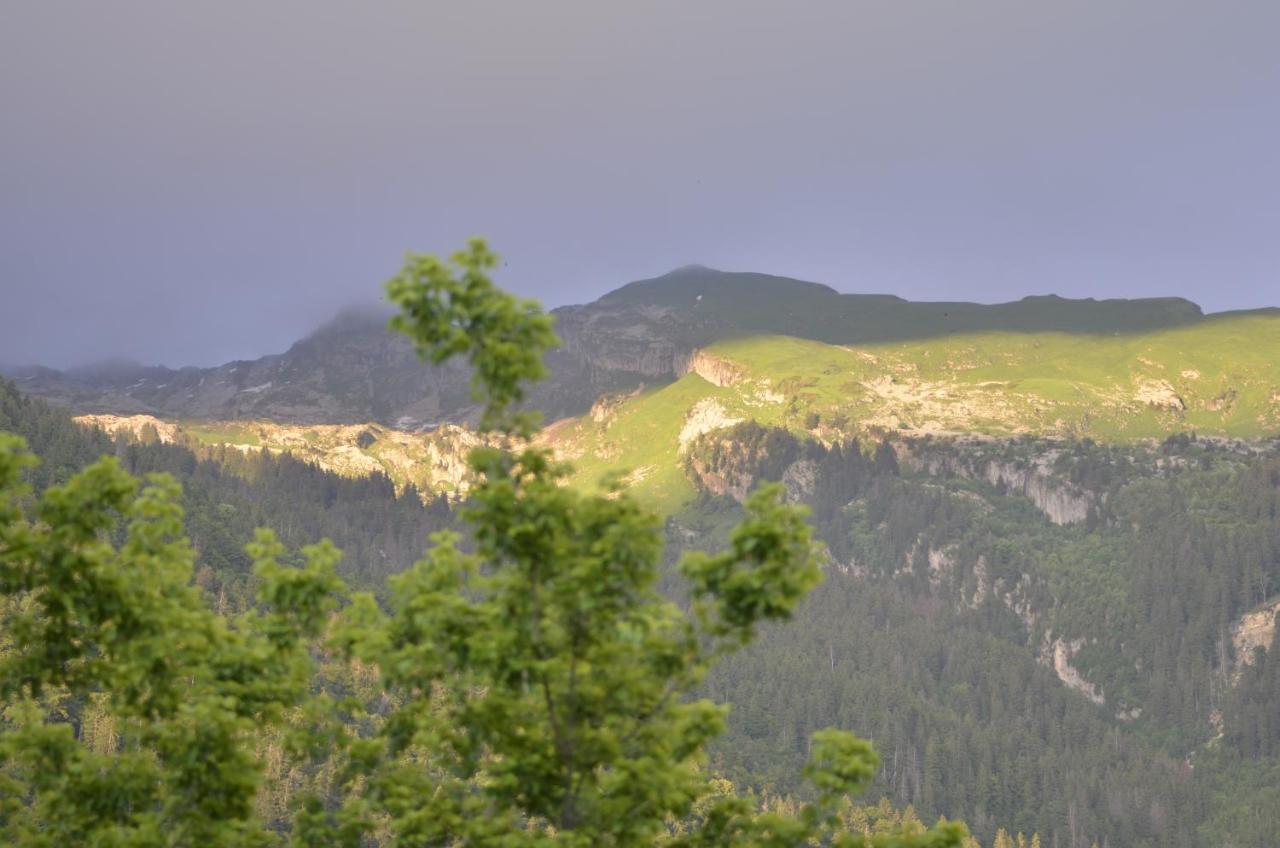Domaine Du Grand Tetras Samoens Apartment Luaran gambar